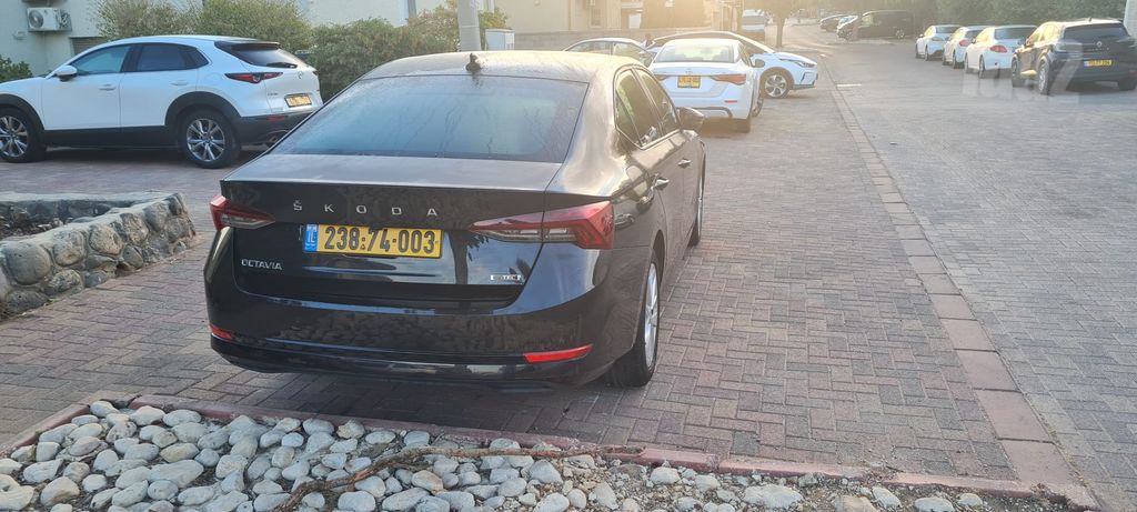 סקודה אוקטביה