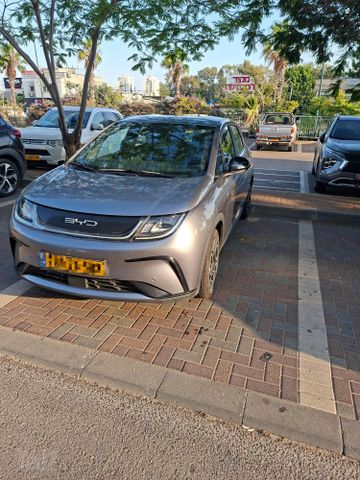 בי.ווי.די דולפין