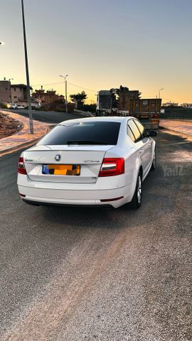 סקודה אוקטביה