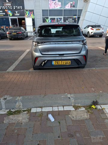 בי.ווי.די דולפין