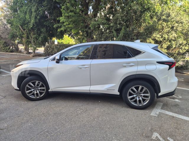 לקסוס NX