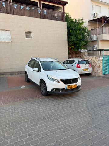 פיג'ו 2008
