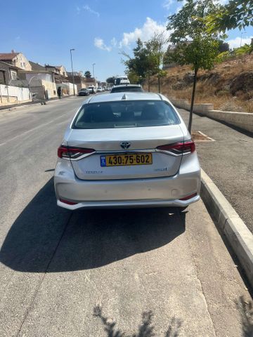 טויוטה קורולה