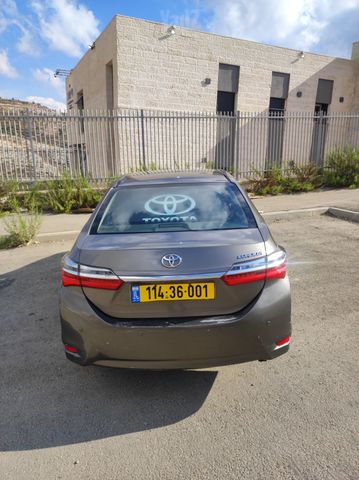 טויוטה קורולה