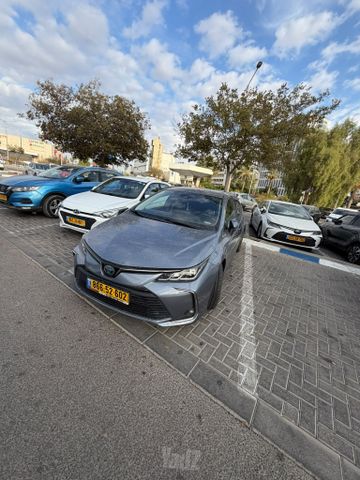 טויוטה קורולה