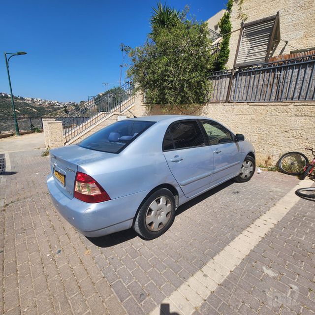טויוטה קורולה