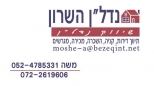 נדל"ן השרון