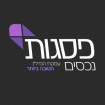 פסגות נכסים