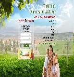 שפע נכסים