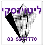 ליטוינסקי נכסים