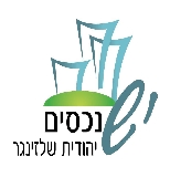 לוגו סוכנות התיווך יהודית שלזינגר נכסים