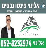 לוגו סוכנות התיווך אלינוי פינטו נכסים