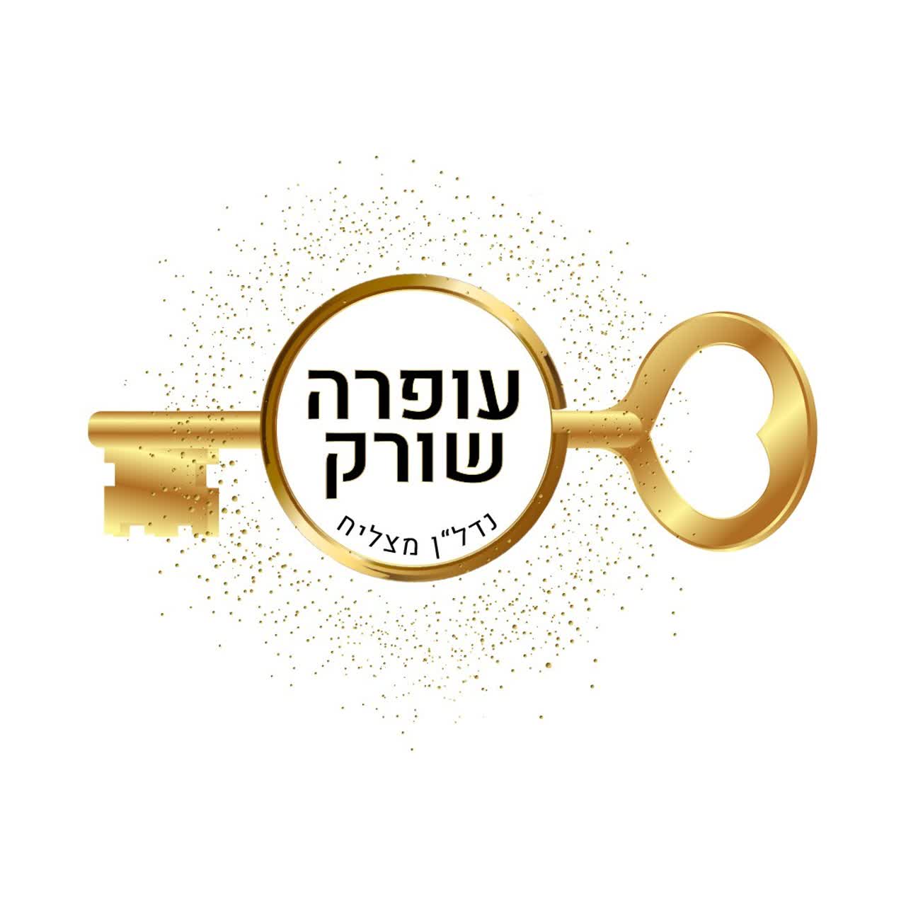 נדל"ן מצליח